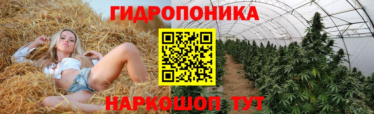 Каннабис MAZAR  Шишки марихуана AK-47  Старая Купавна  Вход с VPN 
